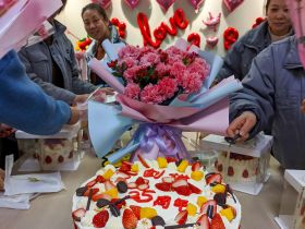 十大买球官方网站-买球赛十大平台
举办三八妇女节活动